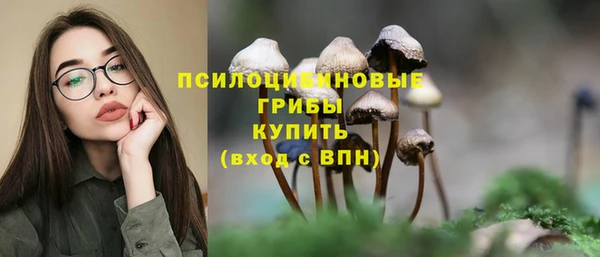 метадон Пересвет