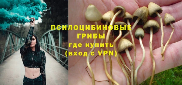не бодяженный Верея