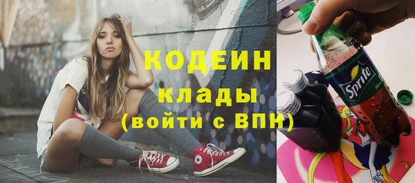 дурь Переславль-Залесский