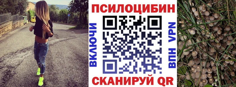 Псилоцибиновые грибы Cubensis  ОМГ ОМГ ONION  Петушки 